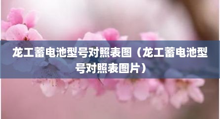 龙工蓄电池型号对照表图（龙工蓄电池型号对照表图片）