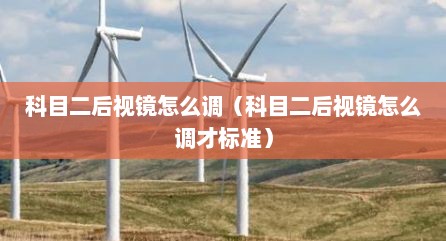 科目二后视镜怎么调（科目二后视镜怎么调才标准）