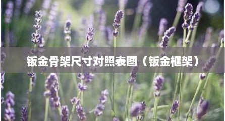 钣金骨架尺寸对照表图（钣金框架）
