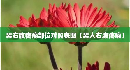 男右腹疼痛部位对照表图（男人右腹疼痛）