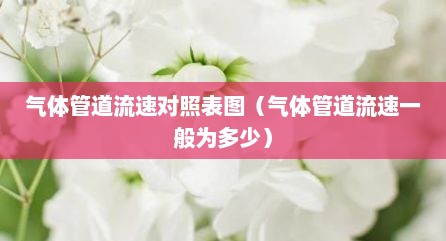 气体管道流速对照表图（气体管道流速一般为多少）
