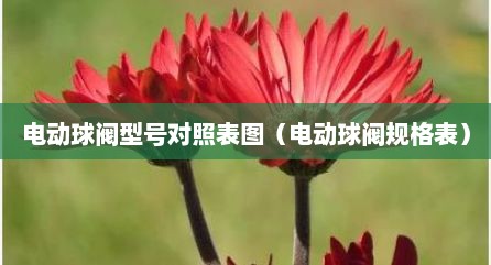电动球阀型号对照表图（电动球阀规格表）