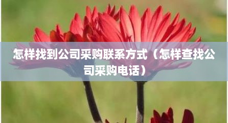 怎样找到公司采购联系方式（怎样查找公司采购电话）