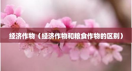 经济作物（经济作物和粮食作物的区别）