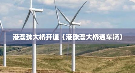 港澳珠大桥开通（港珠澳大桥通车辆）