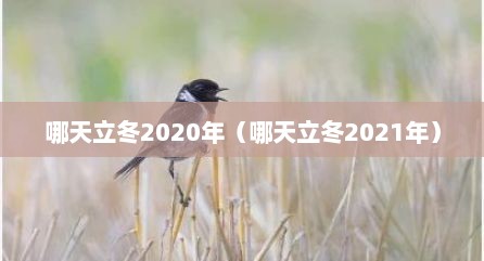 哪天立冬2020年（哪天立冬2021年）