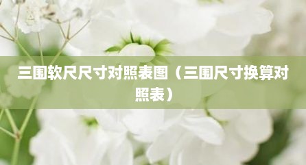 三围软尺尺寸对照表图（三围尺寸换算对照表）