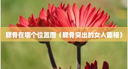 腮骨在哪个位置图（腮骨突出的女人面相）