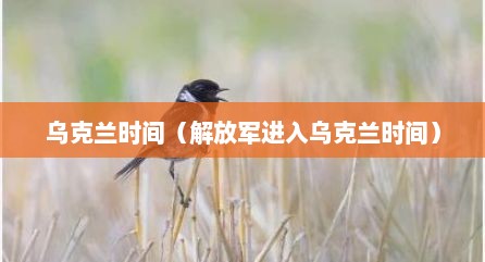 乌克兰时间（解放军进入乌克兰时间）