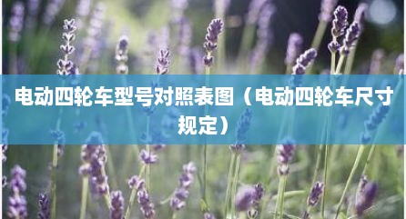 电动四轮车型号对照表图（电动四轮车尺寸规定）