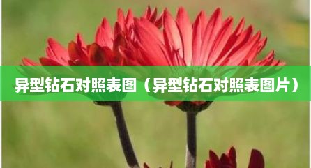 异型钻石对照表图（异型钻石对照表图片）