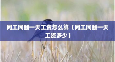 同工同酬一天工资怎么算（同工同酬一天工资多少）