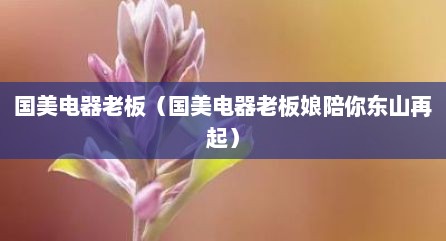 国美电器老板（国美电器老板娘陪你东山再起）