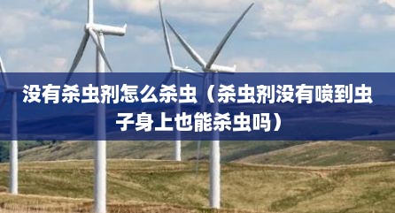 没有杀虫剂怎么杀虫（杀虫剂没有喷到虫子身上也能杀虫吗）