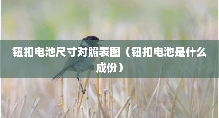 钮扣电池尺寸对照表图（钮扣电池是什么成份）