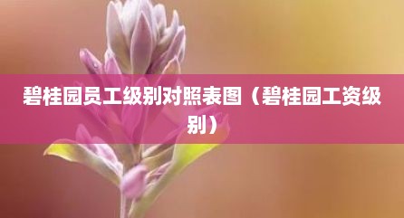 碧桂园员工级别对照表图（碧桂园工资级别）