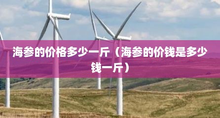 海参的价格多少一斤（海参的价钱是多少钱一斤）