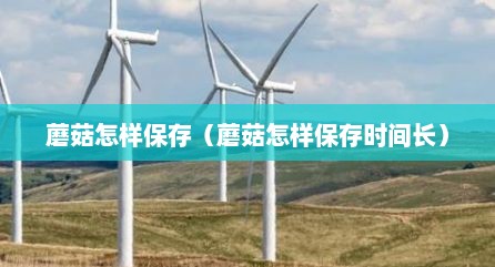 蘑菇怎样保存（蘑菇怎样保存时间长）