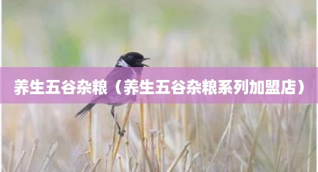 养生五谷杂粮（养生五谷杂粮系列加盟店）