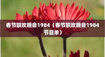 春节联欢晚会1984（春节联欢晚会1984节目单）