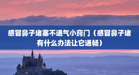 感冒鼻子堵塞不通气小窍门（感冒鼻子堵有什么办法让它通畅）