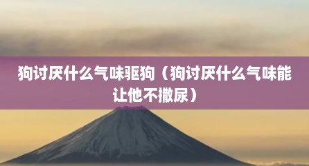 狗讨厌什么气味驱狗（狗讨厌什么气味能让他不撒尿）