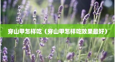 穿山甲怎样吃（穿山甲怎样吃效果最好）
