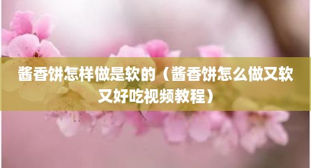 酱香饼怎样做是软的（酱香饼怎么做又软又好吃视频教程）