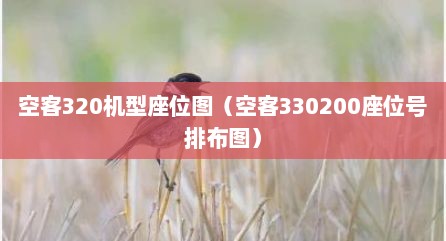 空客320机型座位图（空客330200座位号排布图）