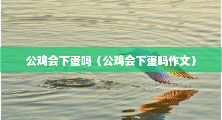 公鸡会下蛋吗（公鸡会下蛋吗作文）