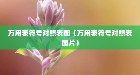 万用表符号对照表图（万用表符号对照表图片）