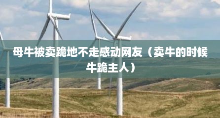 母牛被卖跪地不走感动网友（卖牛的时候牛跪主人）