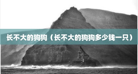 长不大的狗狗（长不大的狗狗多少钱一只）