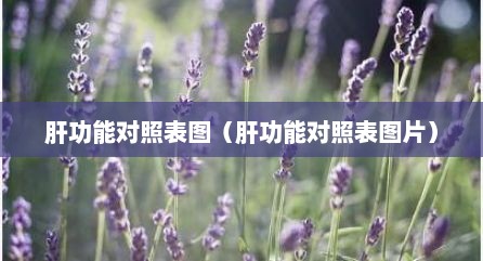 肝功能对照表图（肝功能对照表图片）