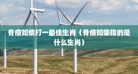 骨瘦如柴打一最佳生肖（骨瘦如柴指的是什么生肖）