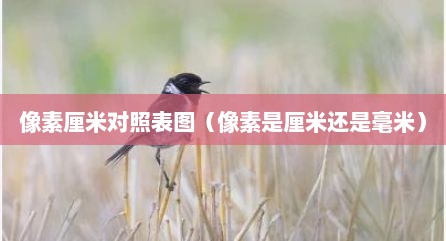 像素厘米对照表图（像素是厘米还是毫米）