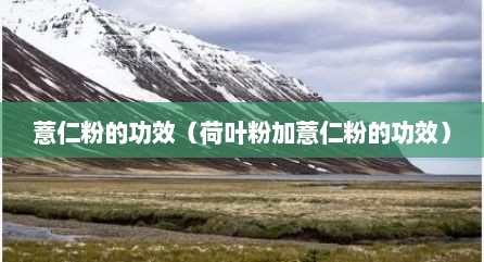 薏仁粉的功效（荷叶粉加薏仁粉的功效）