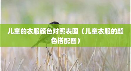 儿童的衣服颜色对照表图（儿童衣服的颜色搭配图）