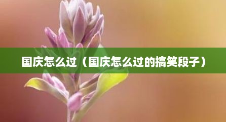 国庆怎么过（国庆怎么过的搞笑段子）