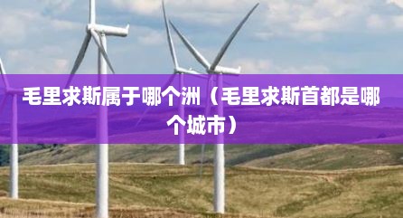 毛里求斯属于哪个洲（毛里求斯首都是哪个城市）