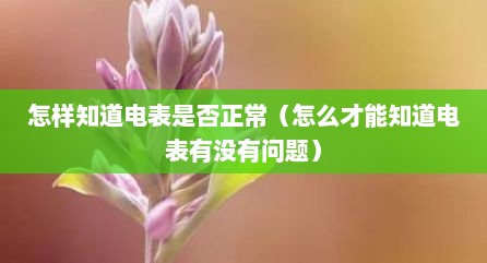怎样知道电表是否正常（怎么才能知道电表有没有问题）
