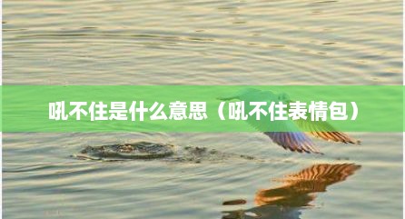吼不住是什么意思（吼不住表情包）