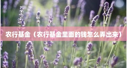 农行基金（农行基金里面的钱怎么弄出来）