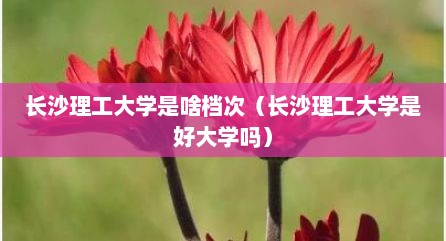 长沙理工大学是啥档次（长沙理工大学是好大学吗）