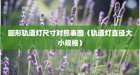 圆形轨道灯尺寸对照表图（轨道灯直径大小规格）