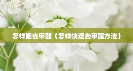 怎样能去甲醛（怎样快速去甲醛方法）