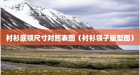 衬衫底领尺寸对照表图（衬衫领子版型图）