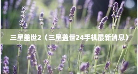 三星盖世2（三星盖世24手机最新消息）