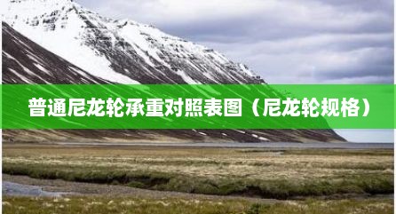 普通尼龙轮承重对照表图（尼龙轮规格）