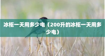 冰柜一天用多少电（200升的冰柜一天用多少电）